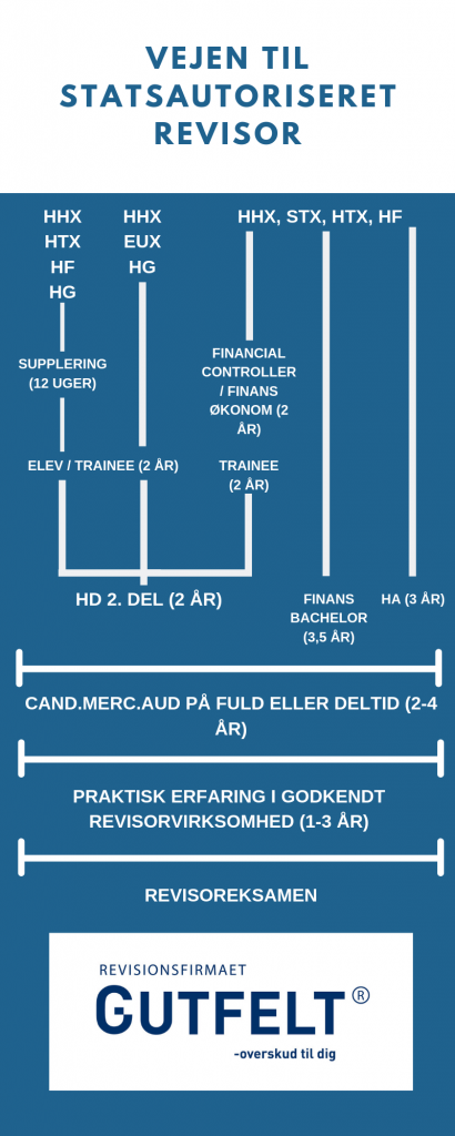 Vejen til statsautoriseret Revisor (1).png